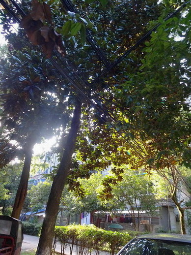 DSC02014.JPG