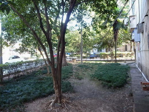 DSC02012.JPG