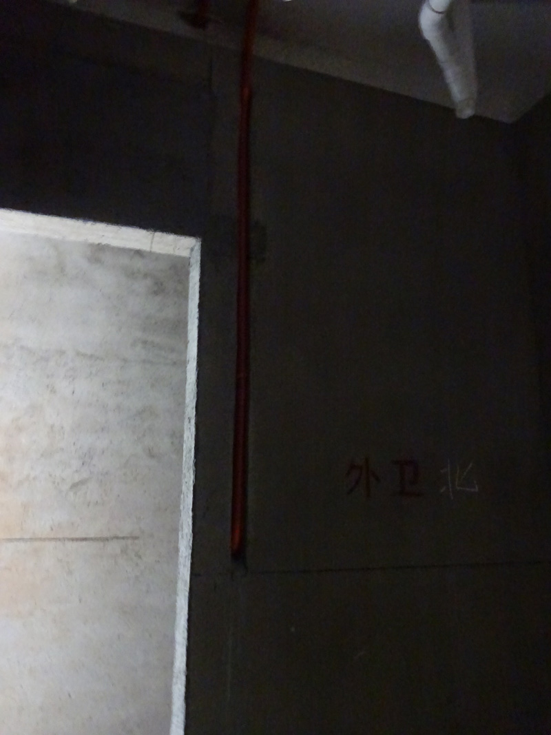 DSC06994.jpg
