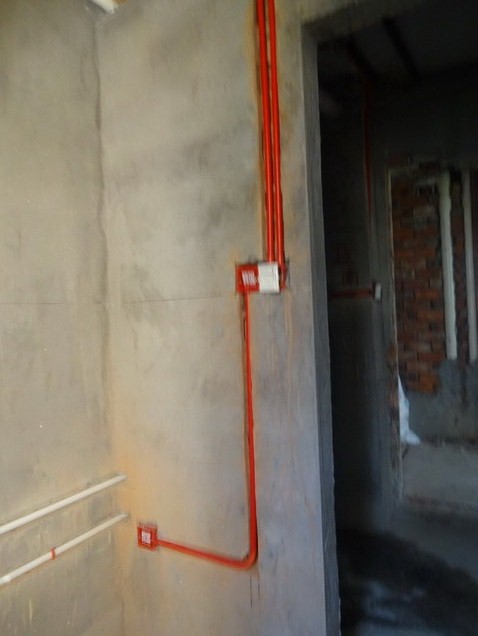 DSC08885.JPG