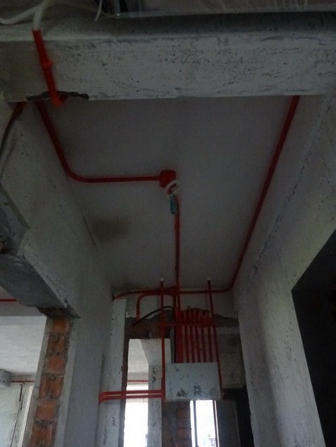 DSC08904.JPG