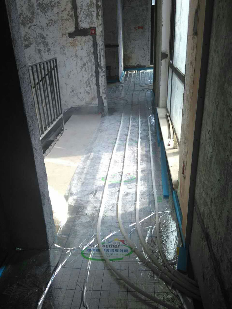 mmexport1472973768792.jpg