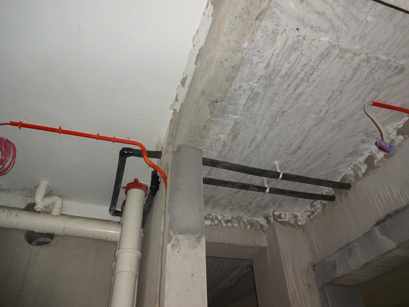 DSC02687.jpg
