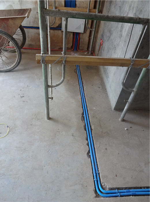DSC07772.JPG