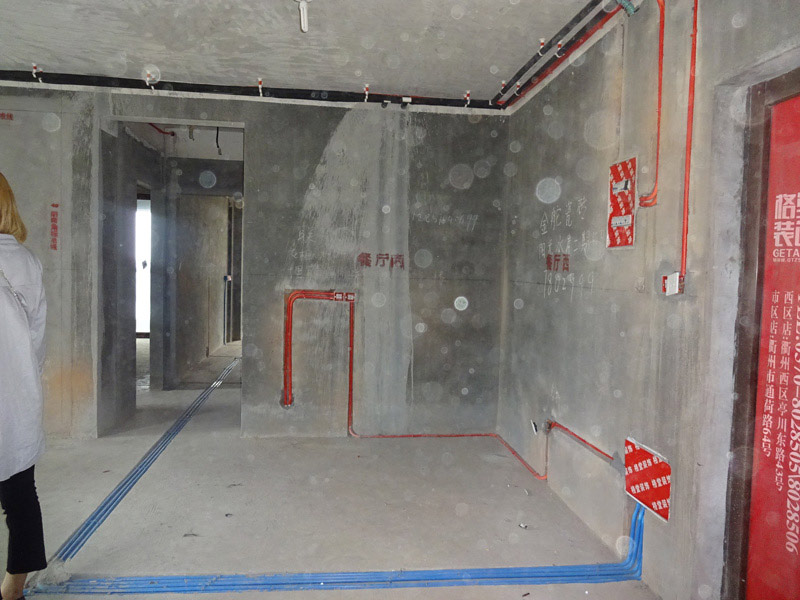 DSC04820.jpg