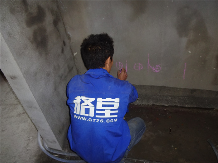 DSC08896.JPG