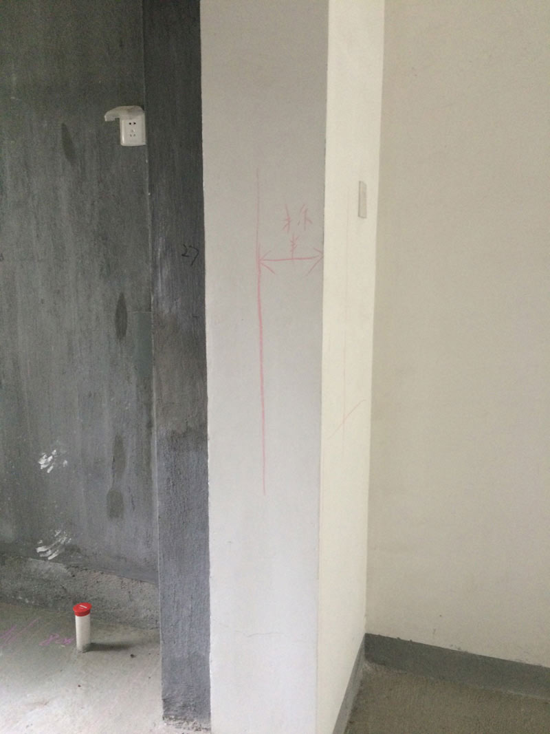IMG_2897.jpg