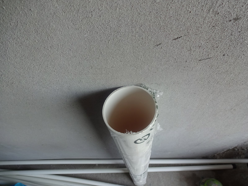 DSC08217.jpg