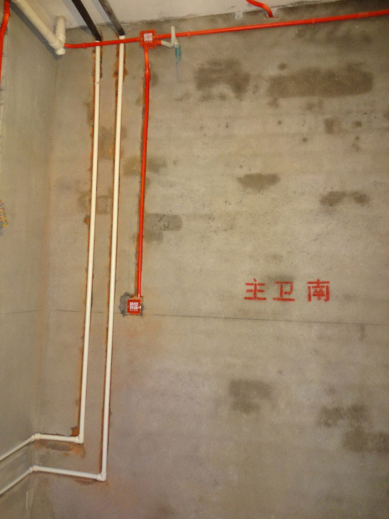 DSC00346.jpg