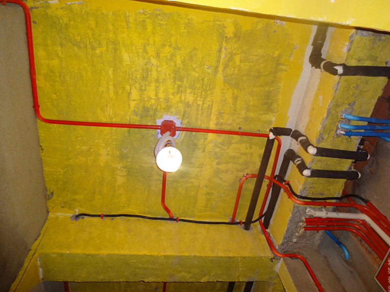 DSC06882.jpg