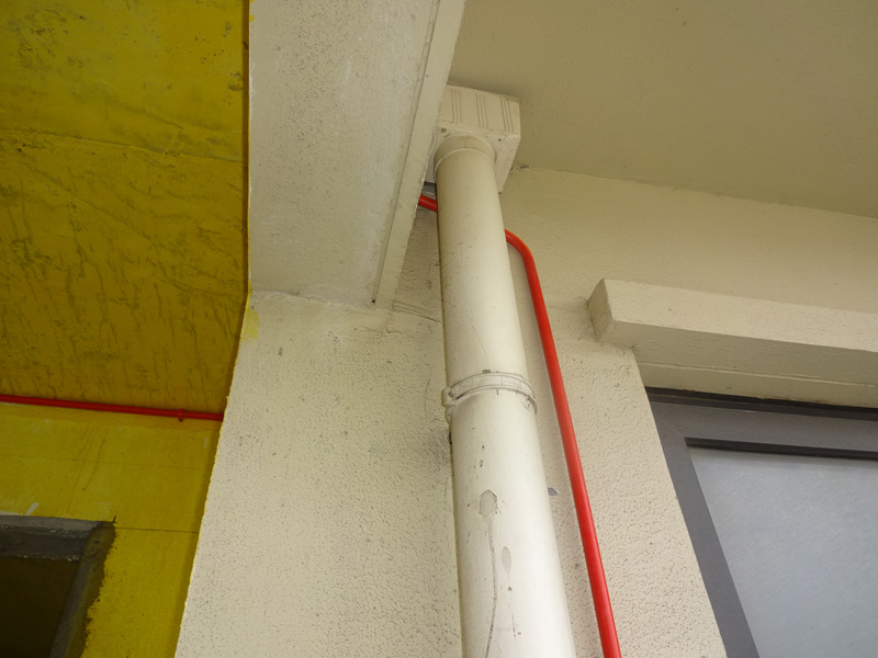 DSC07690.jpg
