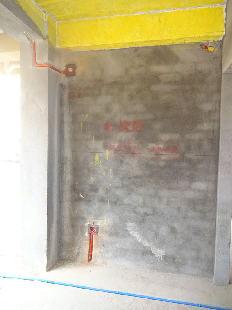 DSC08176.jpg