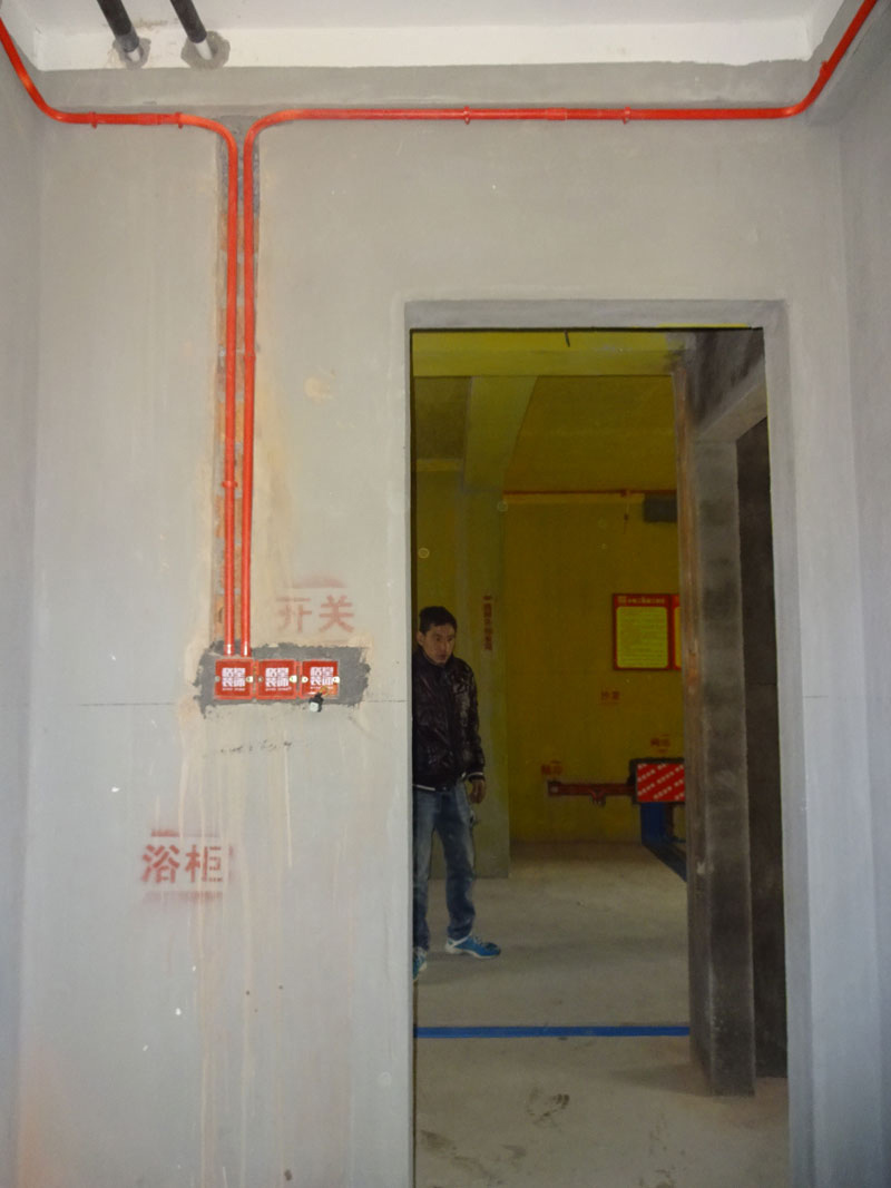 DSC08204.jpg