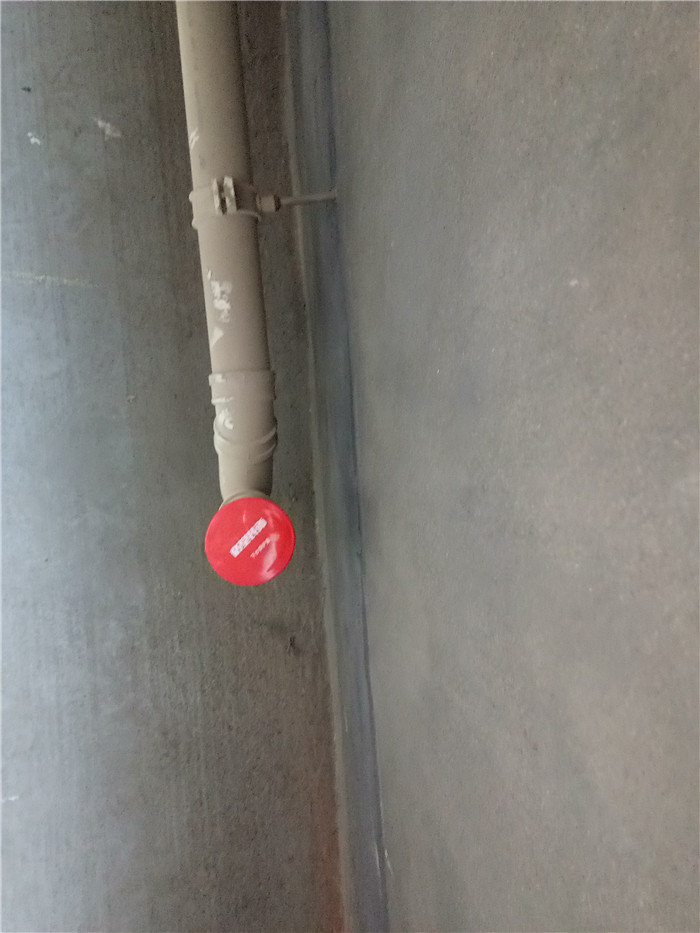 IMG20161224090634.jpg