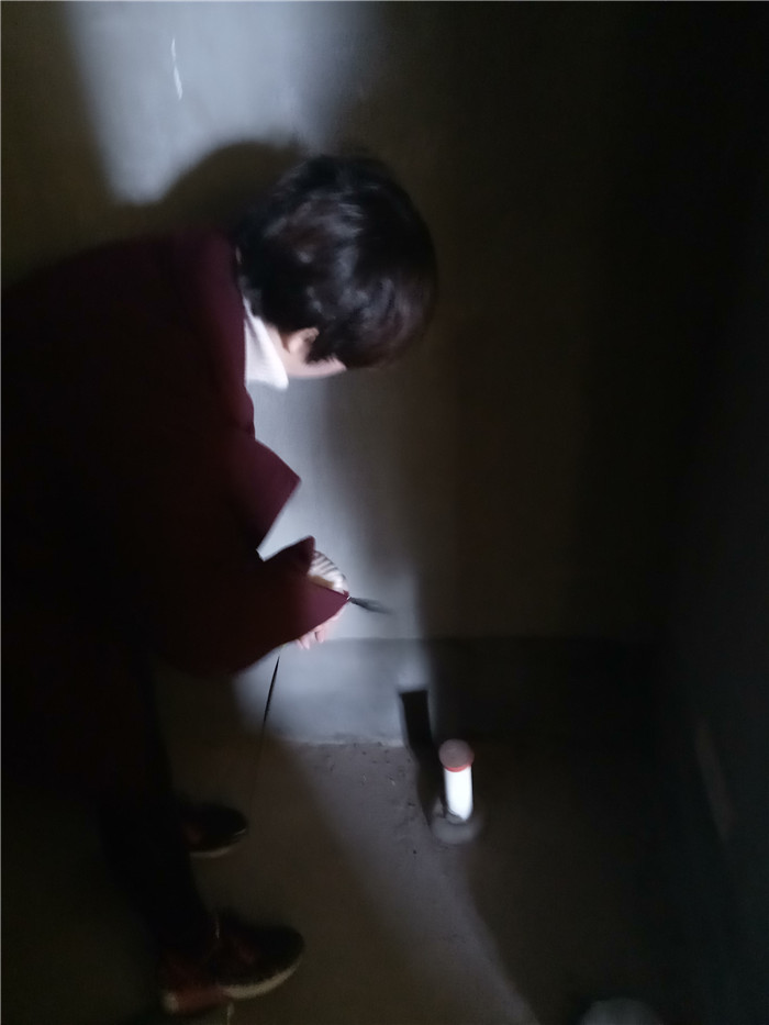 IMG20161229093539.jpg