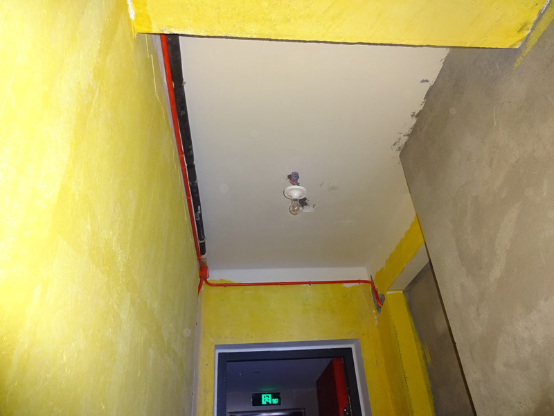 DSC08829.jpg
