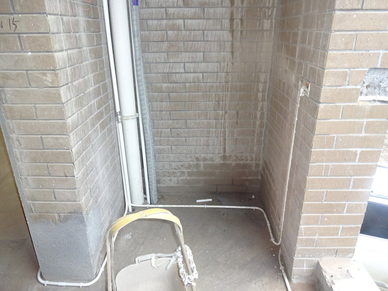 DSC09010.jpg