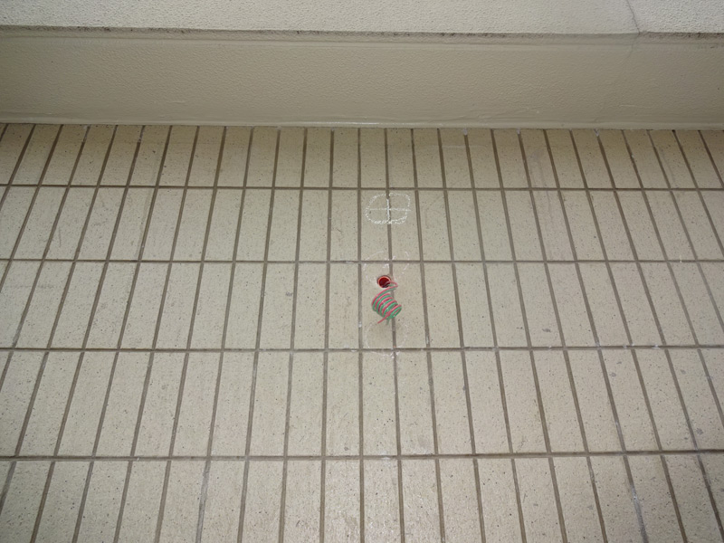 DSC09440.jpg