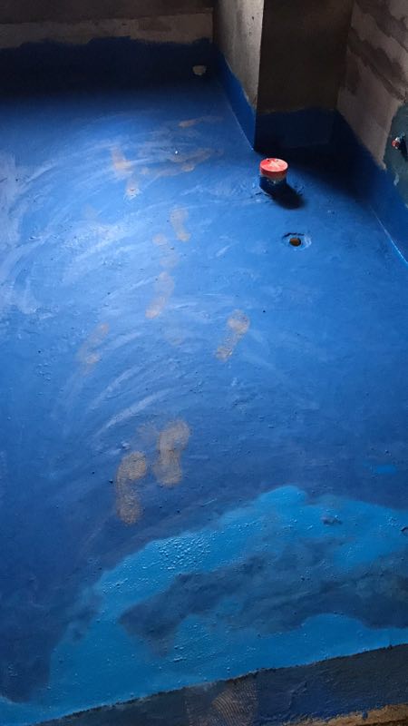 IMG_1195(1).JPG