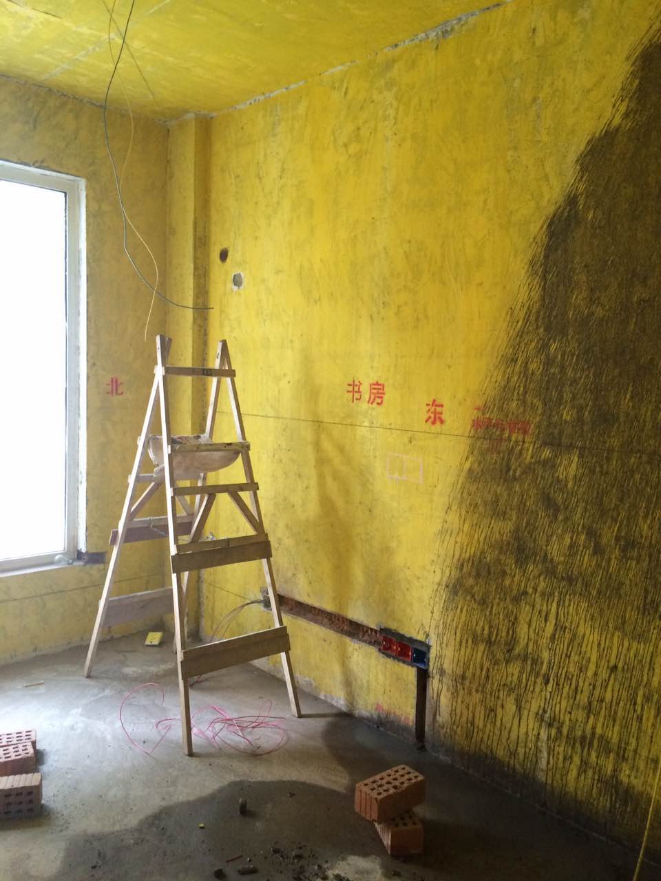 IMG_7179.JPG