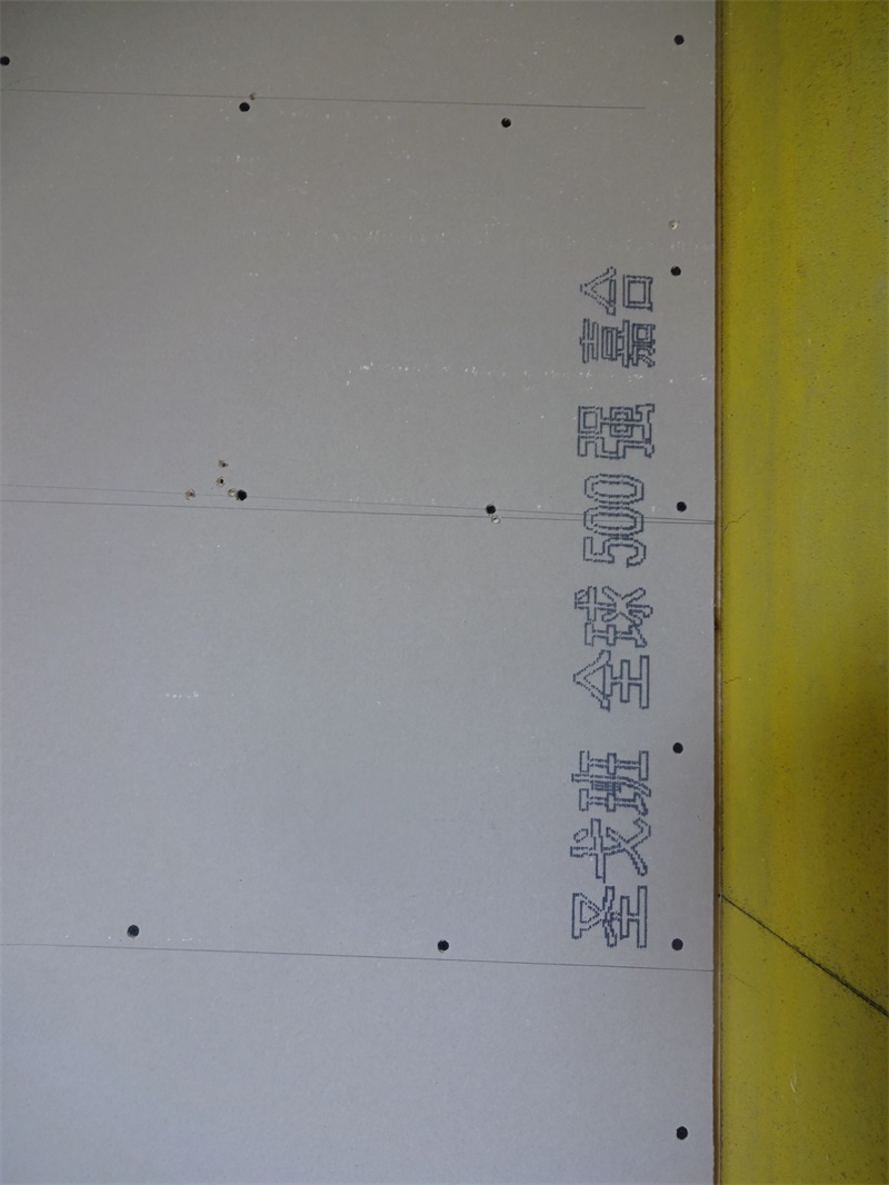 DSC01203.JPG