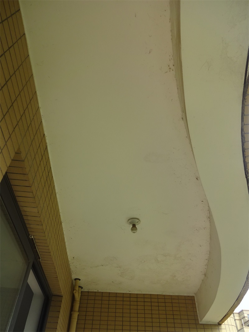 DSC01087.JPG