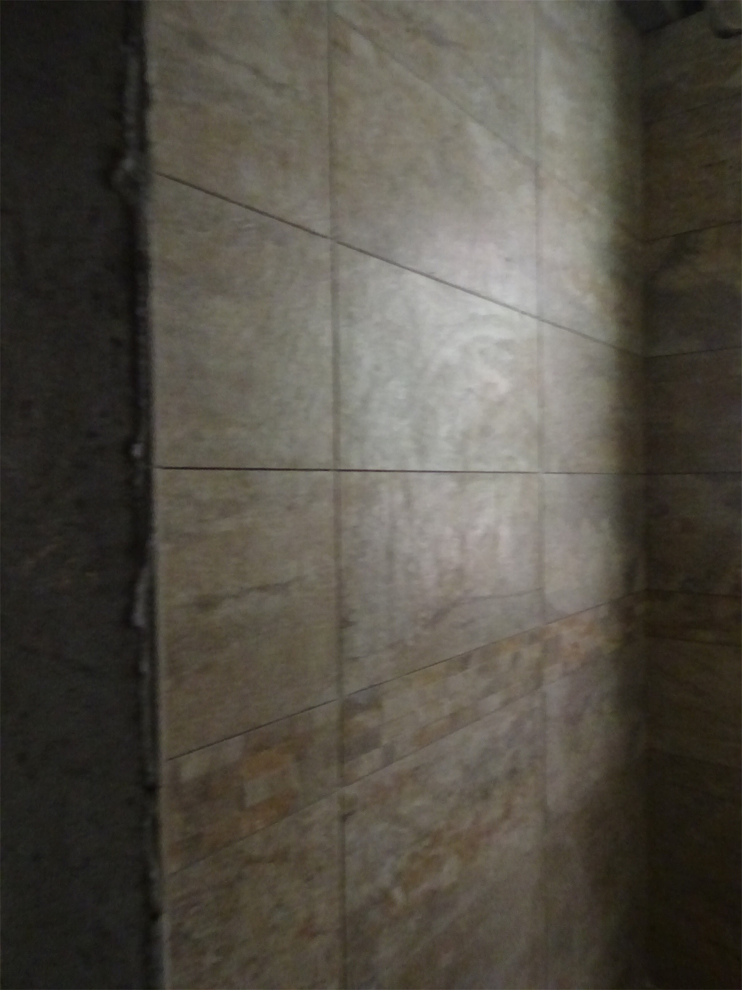 DSC01940.JPG
