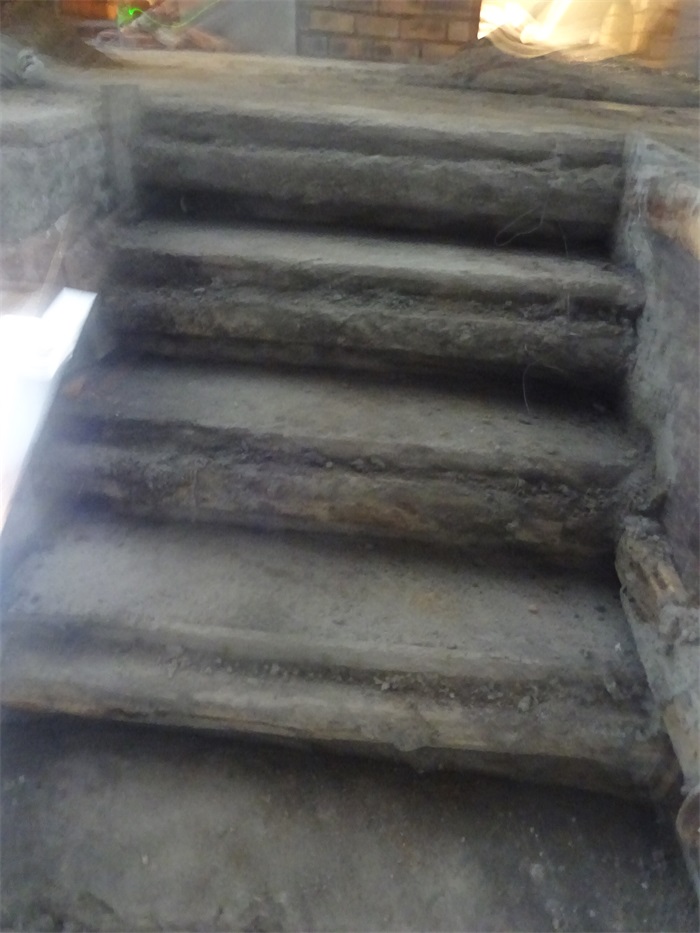 DSC02482.JPG