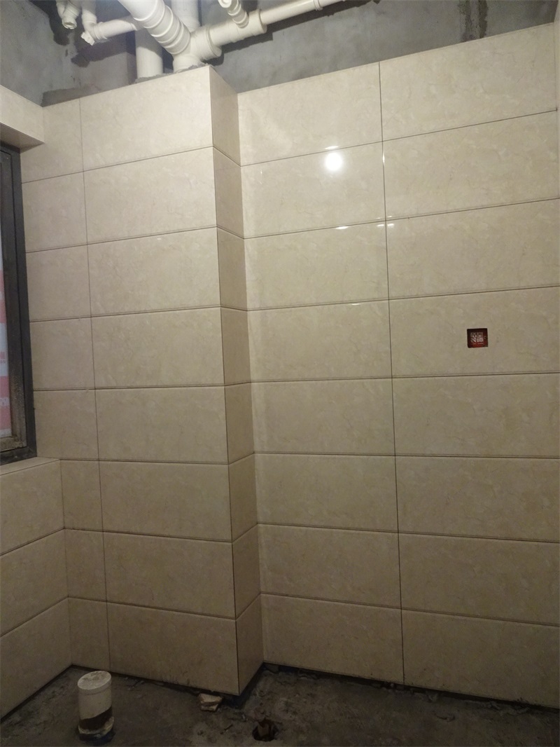 DSC02608.JPG