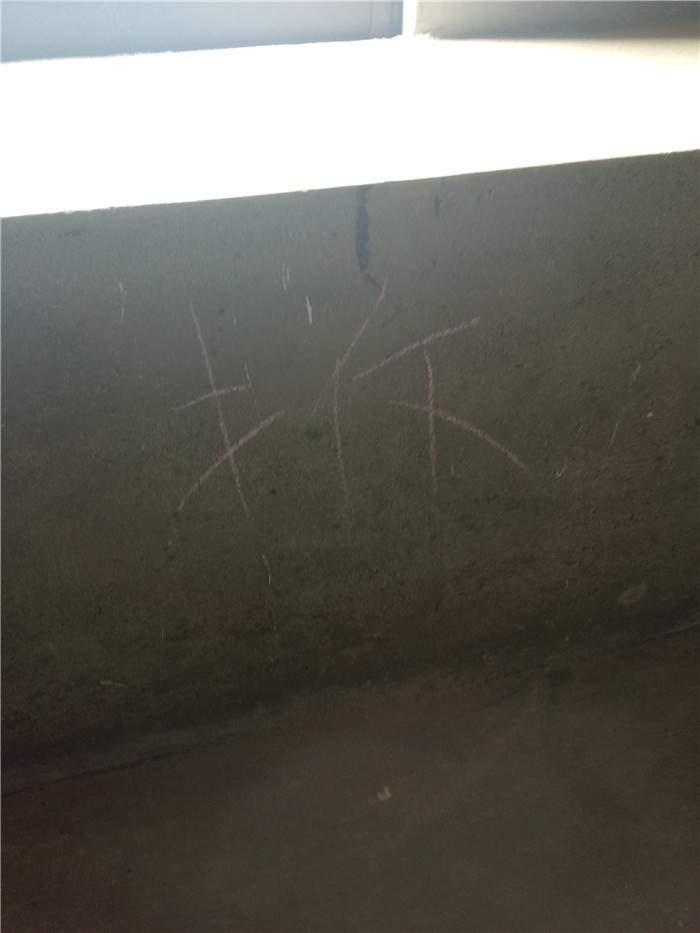 IMG20170520092345.jpg