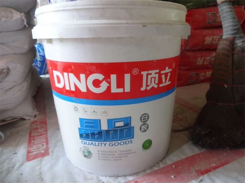 DSC02782.JPG