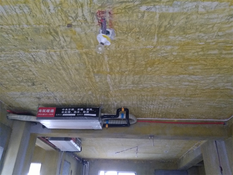 IMG_20170604_134424.jpg