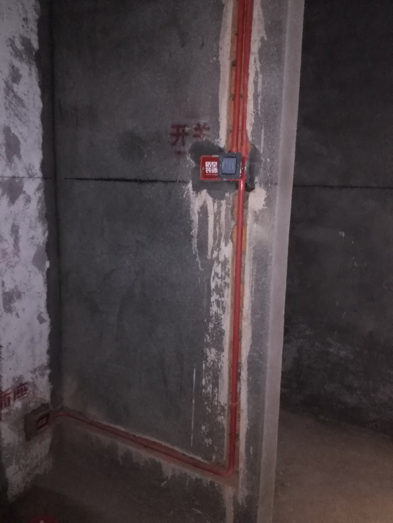 IMG_20170607_134356.jpg