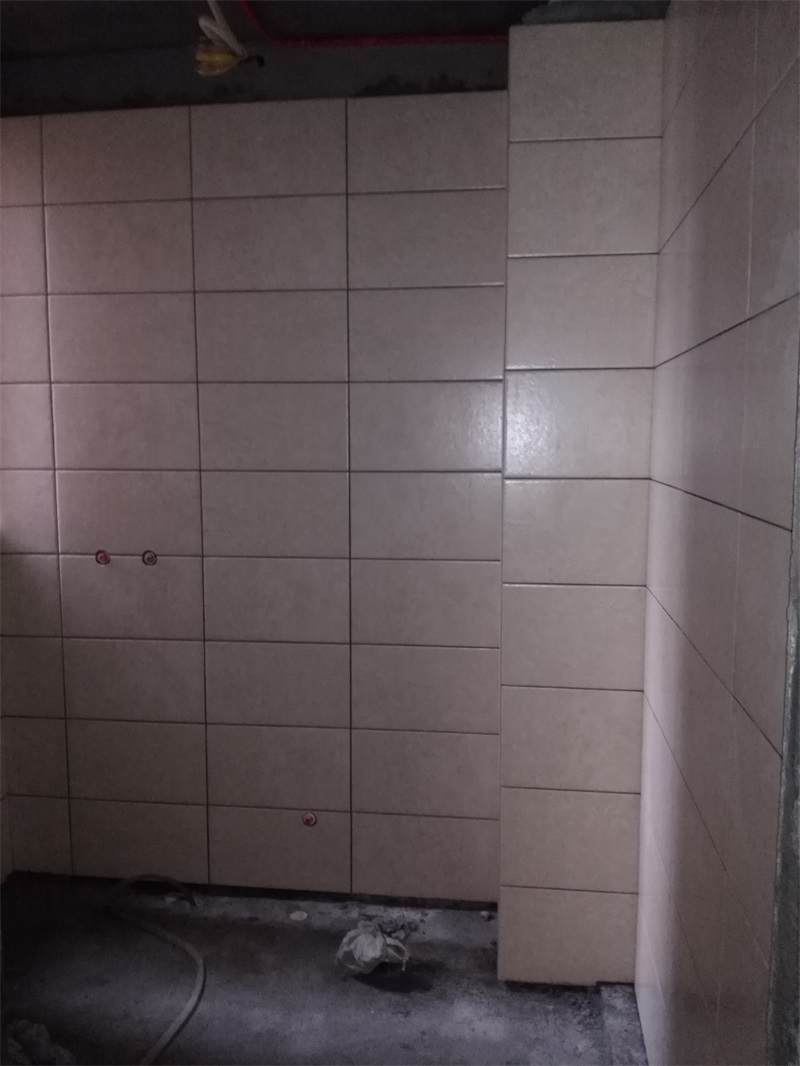 IMG_20170611_160927.jpg