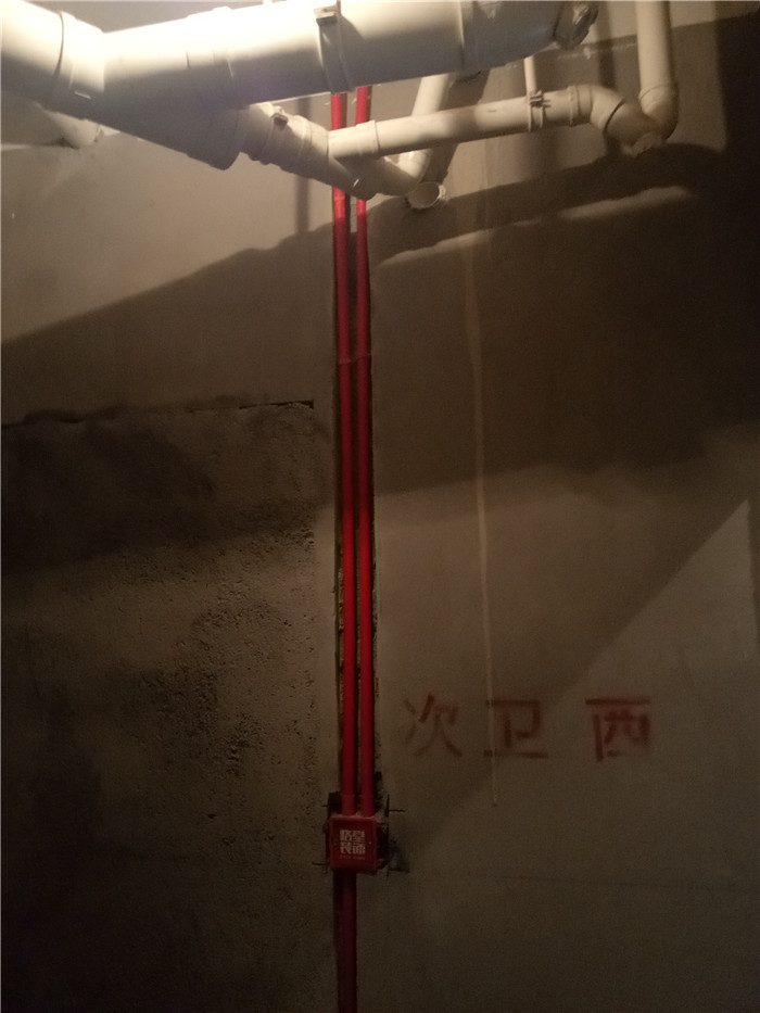 IMG20170617092511.jpg
