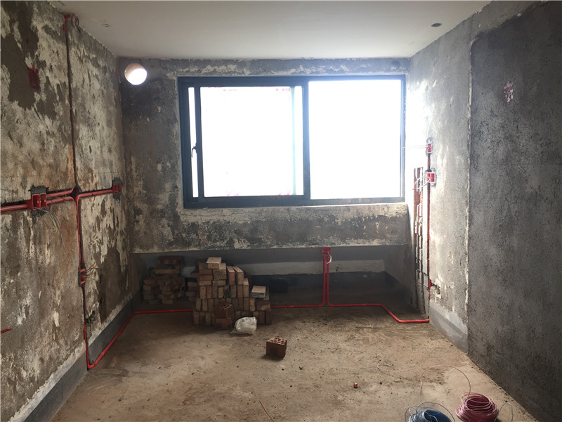 IMG_3504.JPG