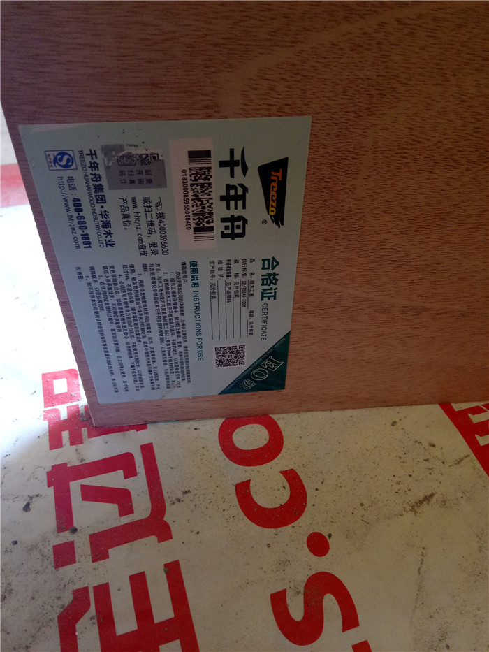 IMG20170804092434.jpg