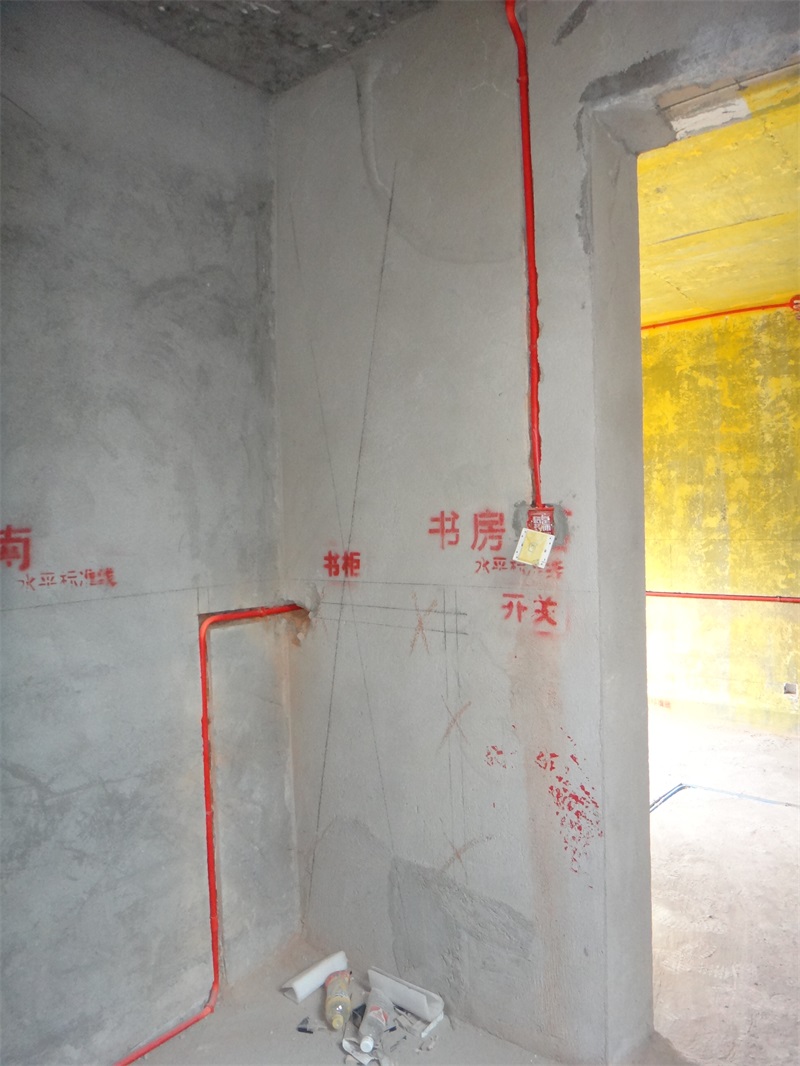DSC08420.JPG