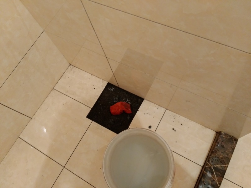 IMG_20170924_100215.jpg