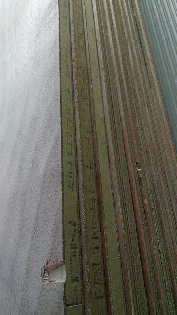317088205031617874.jpg