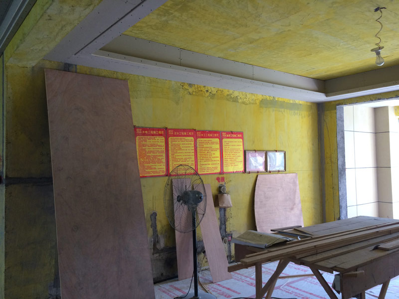 IMG_5678.jpg