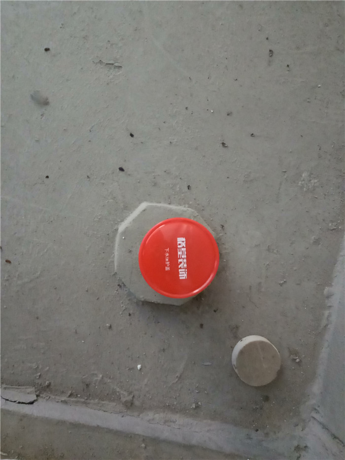 IMG20170930095712.jpg