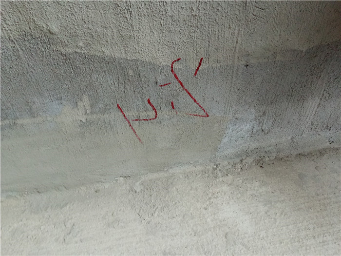 IMG20171015105402.jpg