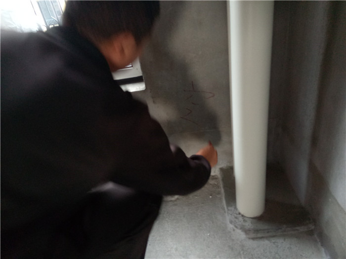 IMG20171015105530.jpg