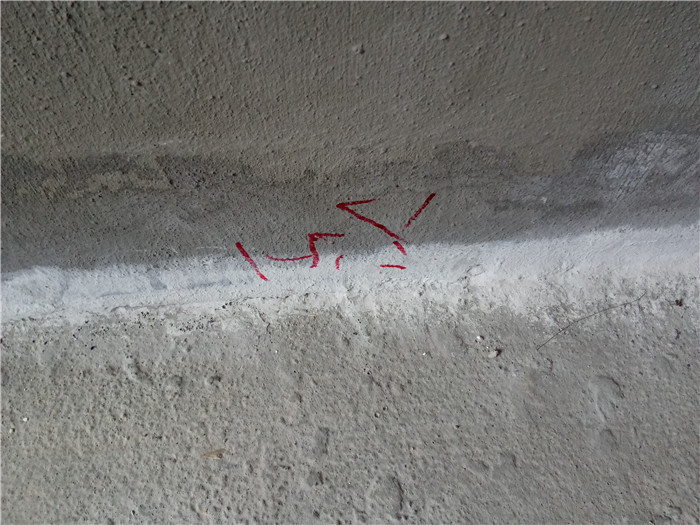 IMG20171015105552.jpg