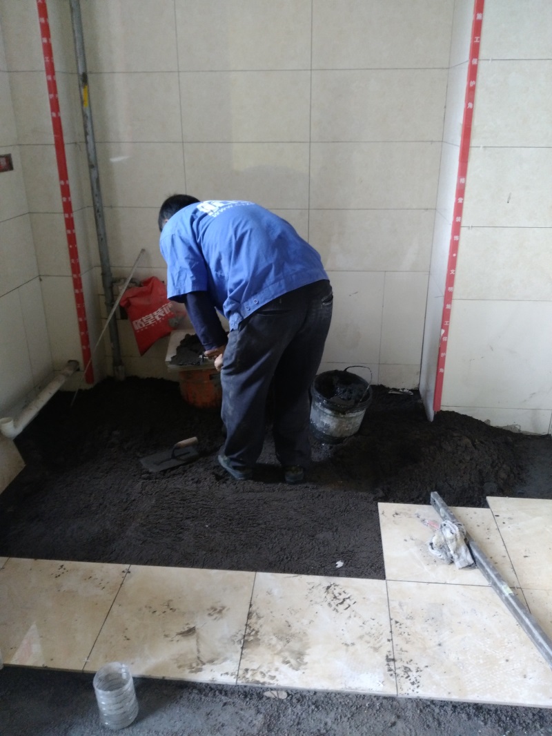 IMG_20171016_101305.jpg