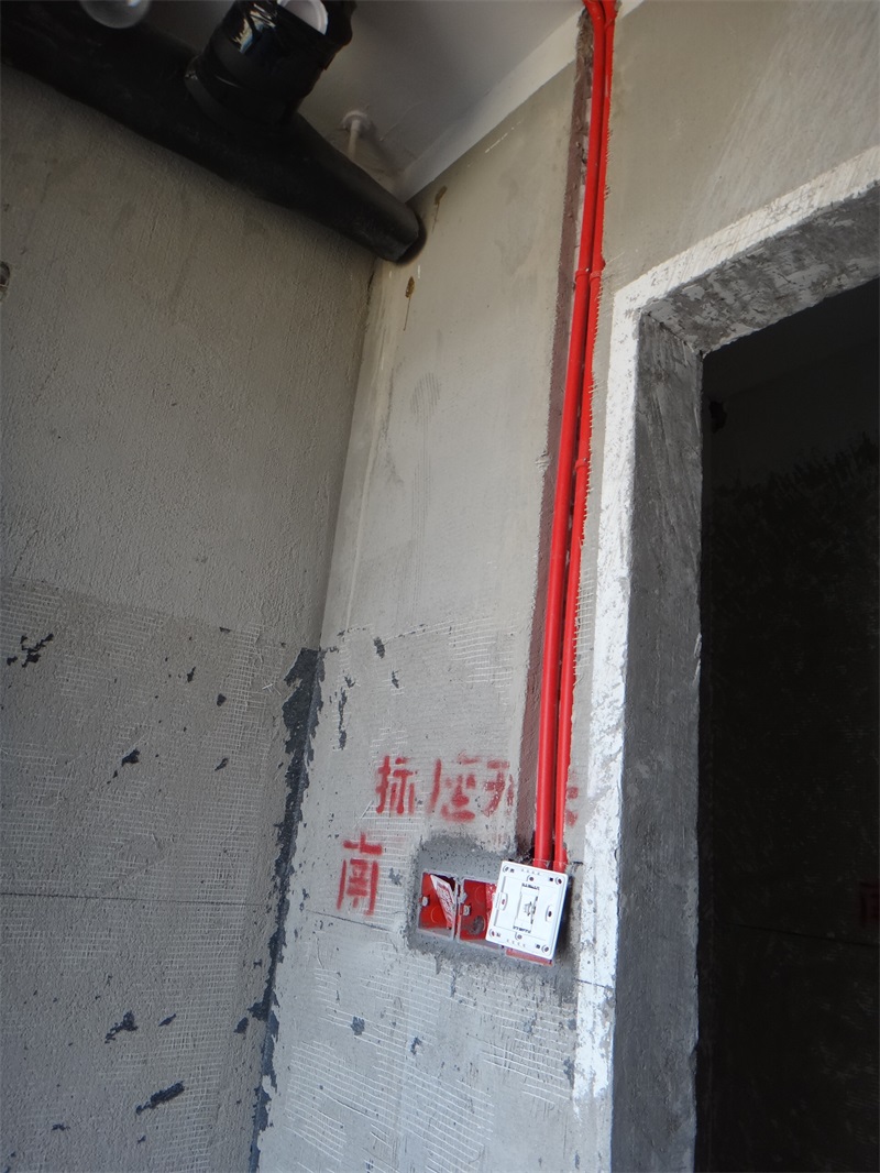 DSC08582.JPG