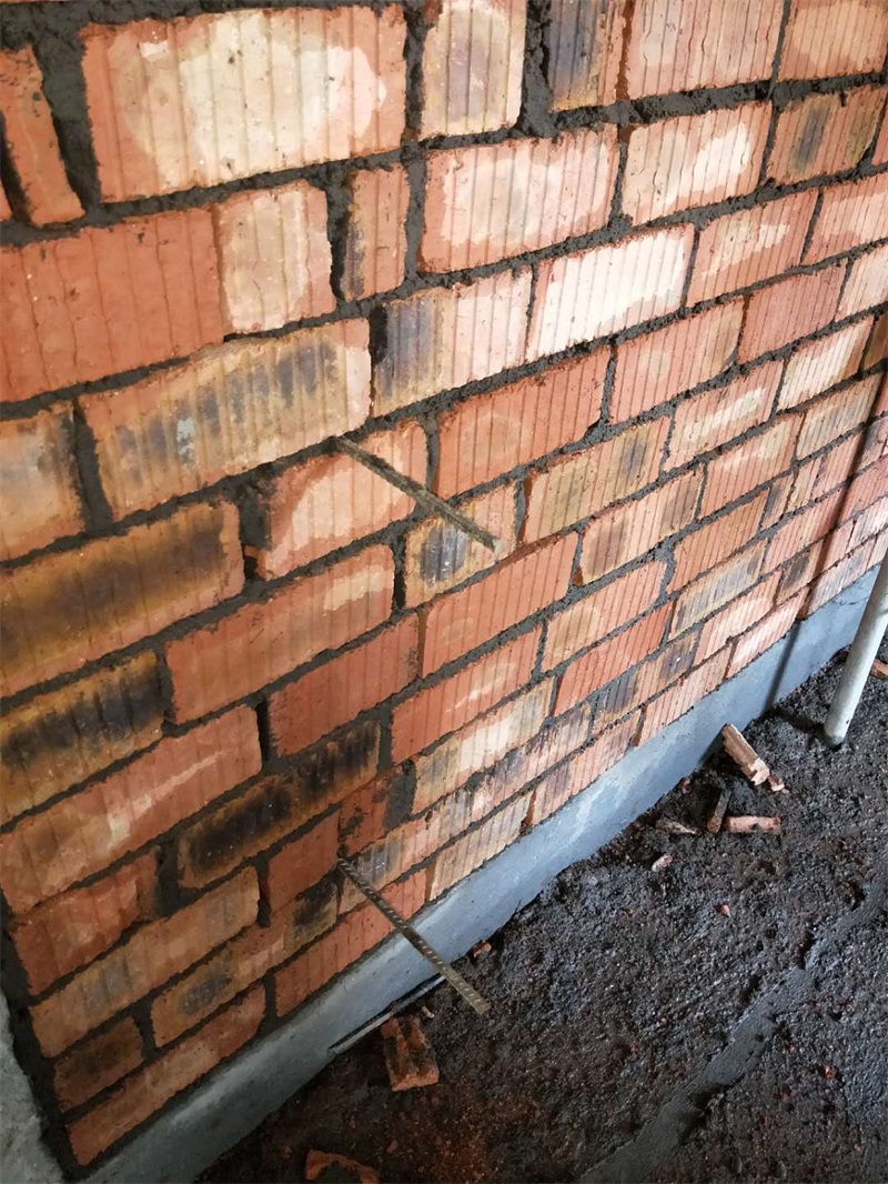 10777871541724524.jpg