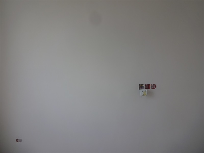 DSC04777.JPG