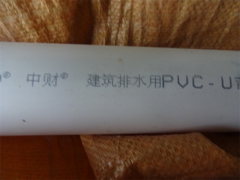 DSC05853.JPG